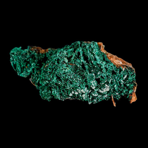 4.4" Dark Green Malachite Crystals On Barite Blades Mineral Specimen Tiznit Morocco - Fossil Age Minerals