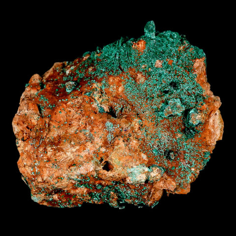 3.8" Dark Green Malachite Crystals On Barite Blades Mineral Specimen Tiznit Morocco - Fossil Age Minerals