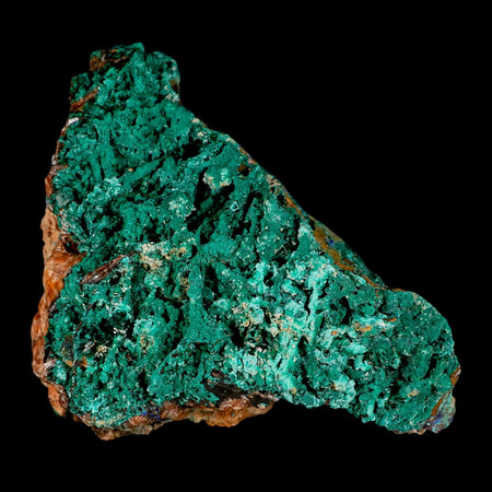 4" Dark Green Malachite Crystals On Barite Blades Mineral Specimen Tiznit Morocco
