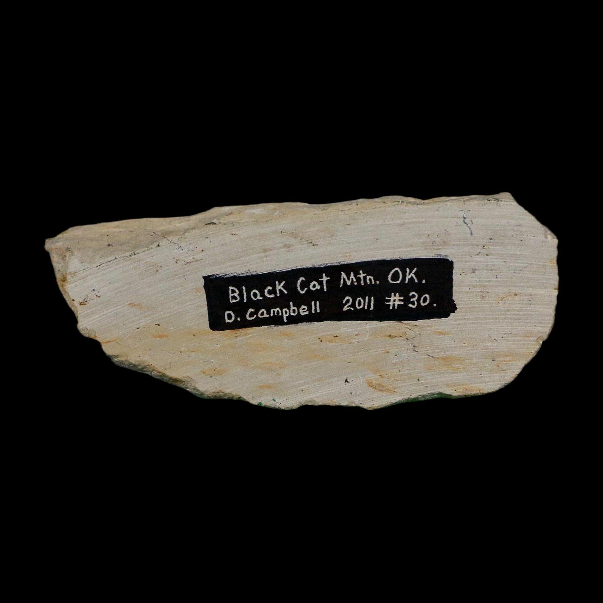 1.1" Kainops Raymodi Trilobite Fossil In Matrix Compound eyes Black Cat Mountain OK - Fossil Age Minerals