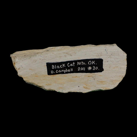 1.1" Kainops Raymodi Trilobite Fossil In Matrix Compound eyes Black Cat Mountain OK - Fossil Age Minerals