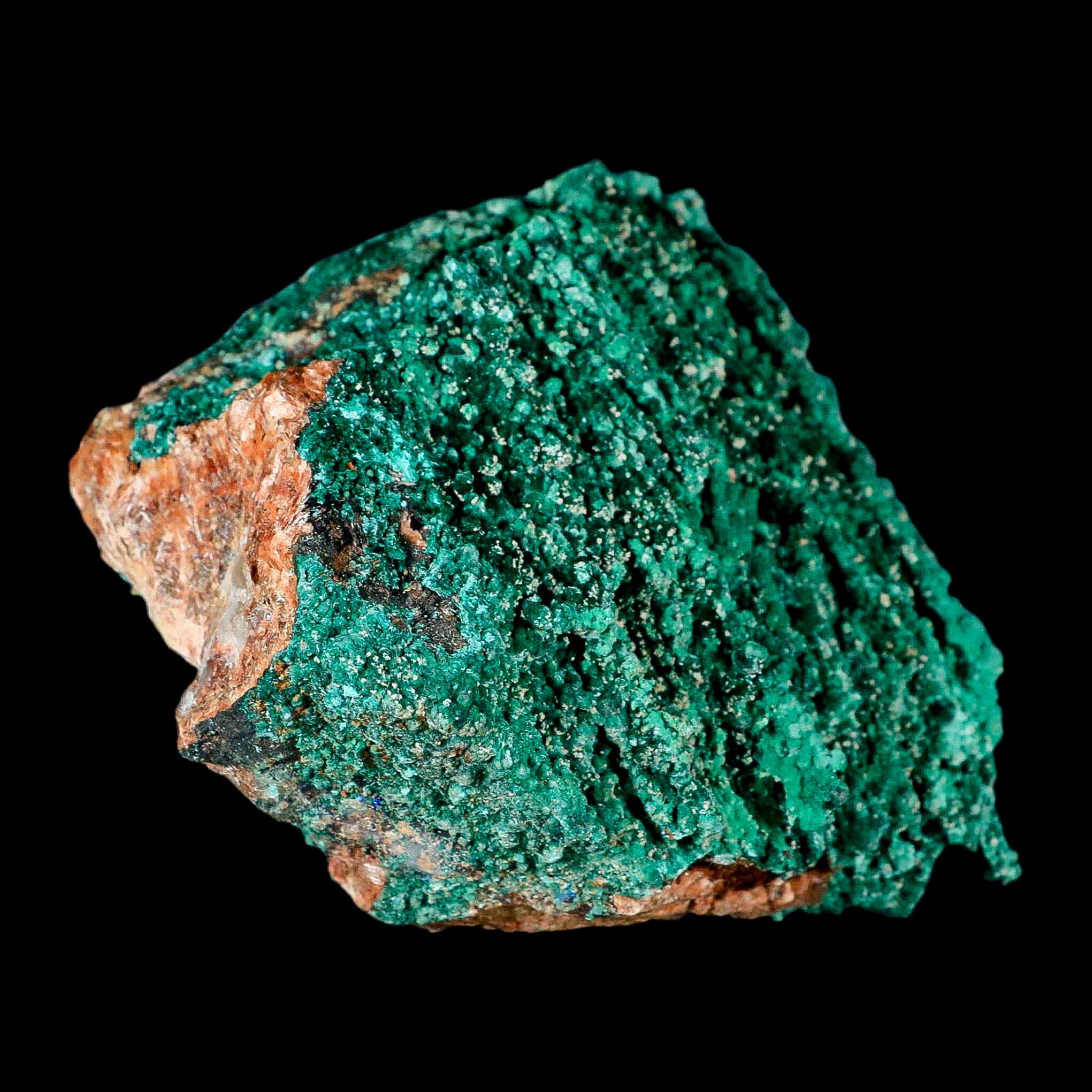 4" Dark Green Malachite Crystals On Barite Blades Mineral Specimen Tiznit Morocco - Fossil Age Minerals