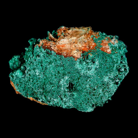 3.2" Dark Green Malachite Crystals On Barite Blades Mineral Specimen Tiznit Morocco - Fossil Age Minerals