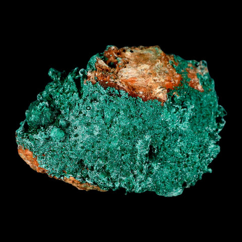 3.2" Dark Green Malachite Crystals On Barite Blades Mineral Specimen Tiznit Morocco - Fossil Age Minerals
