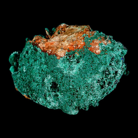 3.2" Dark Green Malachite Crystals On Barite Blades Mineral Specimen Tiznit Morocco - Fossil Age Minerals