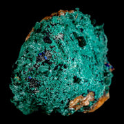 3.2" Dark Green Malachite Crystals On Barite Blades Mineral Specimen Tiznit Morocco