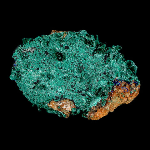 3.2" Dark Green Malachite Crystals On Barite Blades Mineral Specimen Tiznit Morocco - Fossil Age Minerals
