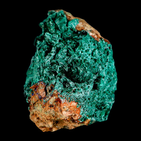 3.2" Dark Green Malachite Crystals On Barite Blades Mineral Specimen Tiznit Morocco - Fossil Age Minerals