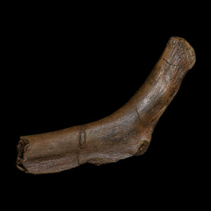 7.5