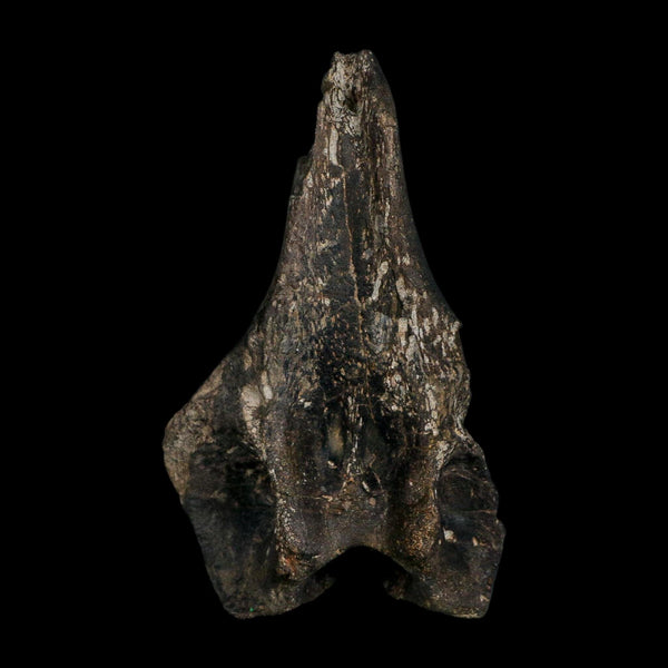 5.1