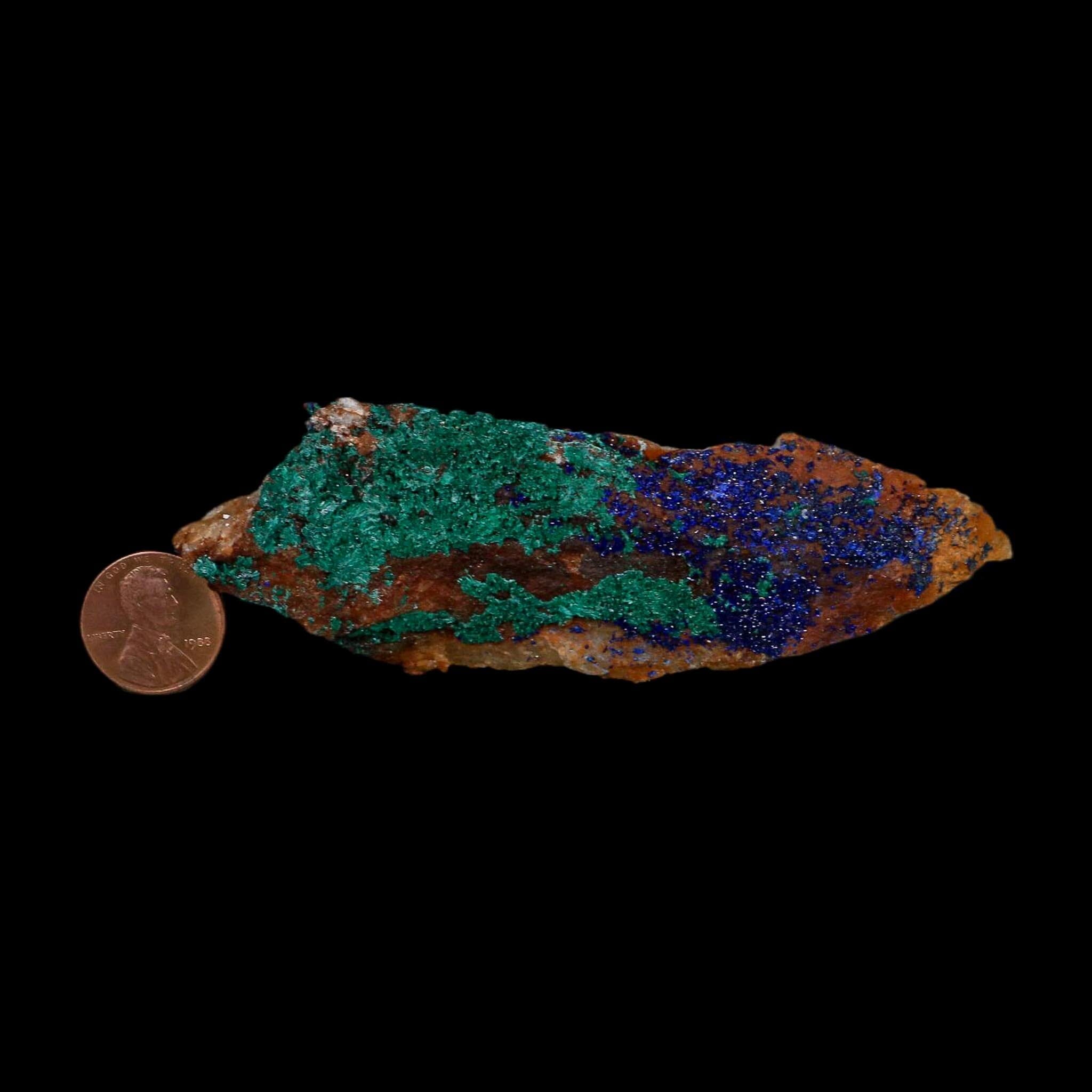 4.2" Azurite Crystals & Malachite On Matrix Colorful Mineral Specimen Morocco - Fossil Age Minerals