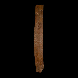 11.1