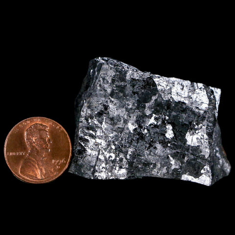 1.8" Rough Natural Silver Metallic Galena Crystal Mineral Mibladen Morocco - Fossil Age Minerals