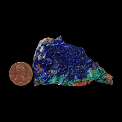 2.6" Azurite Crystals & Malachite On Matrix Colorful Mineral Specimen Morocco - Fossil Age Minerals