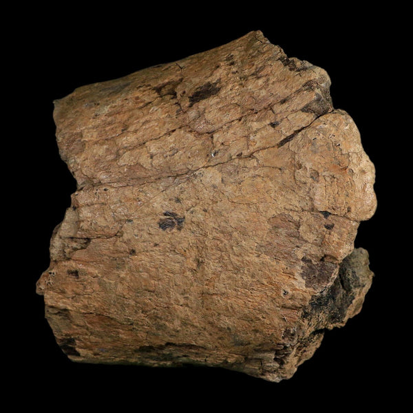 6.1