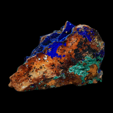 2.6" Azurite Crystals & Malachite On Matrix Colorful Mineral Specimen Morocco - Fossil Age Minerals