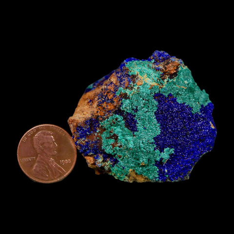 1.9" Azurite Crystals & Malachite On Matrix Colorful Mineral Specimen Morocco - Fossil Age Minerals
