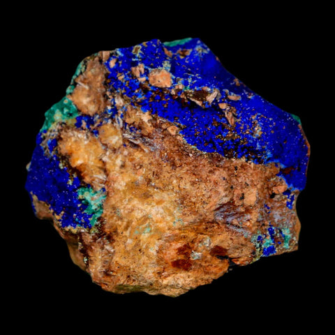 1.9" Azurite Crystals & Malachite On Matrix Colorful Mineral Specimen Morocco - Fossil Age Minerals