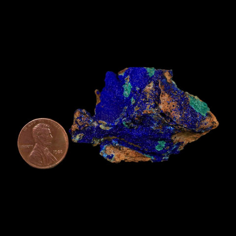 2.1" Azurite Crystals & Malachite On Matrix Colorful Mineral Specimen Morocco - Fossil Age Minerals