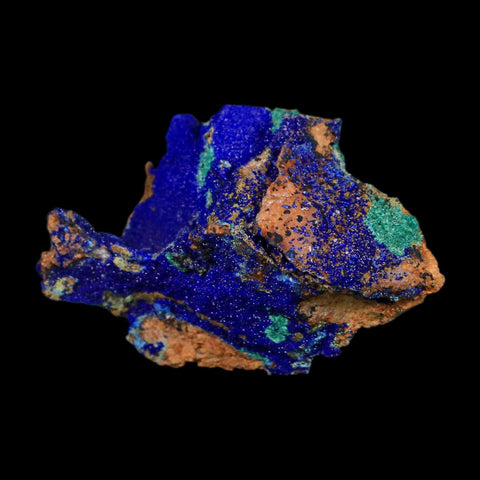 2.1" Azurite Crystals & Malachite On Matrix Colorful Mineral Specimen Morocco - Fossil Age Minerals
