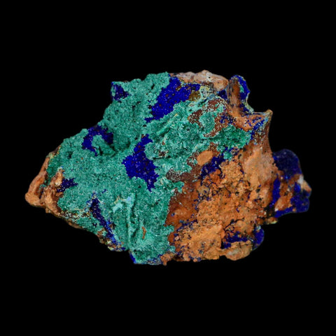 2.1" Azurite Crystals & Malachite On Matrix Colorful Mineral Specimen Morocco - Fossil Age Minerals