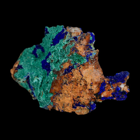 2.1" Azurite Crystals & Malachite On Matrix Colorful Mineral Specimen Morocco - Fossil Age Minerals