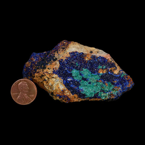 3.1" Azurite Crystals & Malachite On Matrix Colorful Mineral Specimen Morocco - Fossil Age Minerals