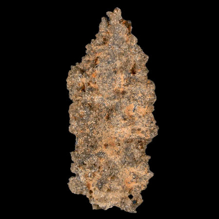 1.7" Fulgurite Petrified Lightning Strike Glass Sahara Desert Algeria