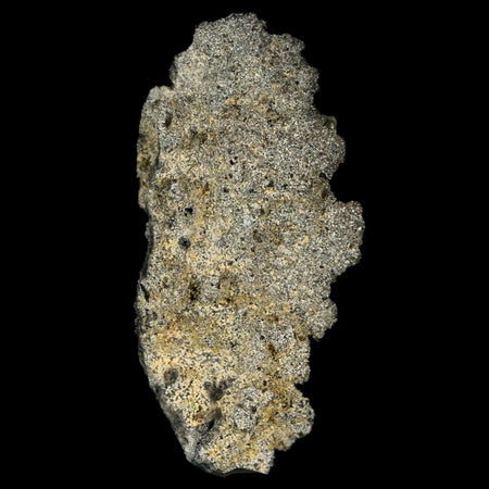 2.1" Fulgurite Petrified Lightning Strike Glass Sahara Desert Algeria