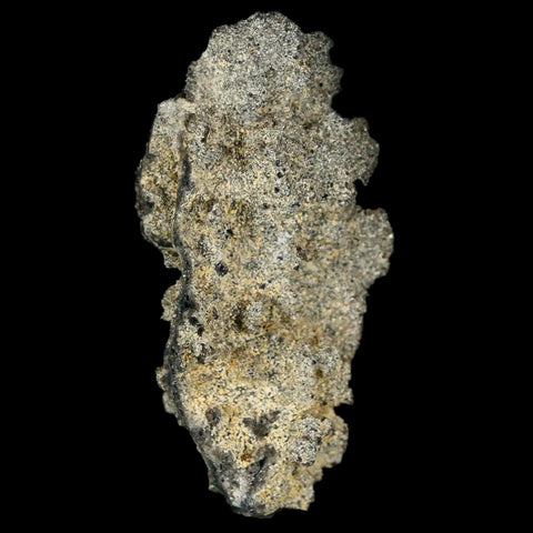 2.1" Fulgurite Petrified Lighting Strike Glass Sahara Desert Algeria - Fossil Age Minerals