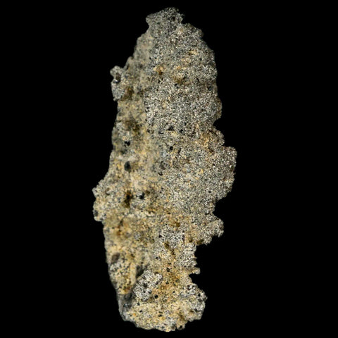 2.1" Fulgurite Petrified Lighting Strike Glass Sahara Desert Algeria - Fossil Age Minerals