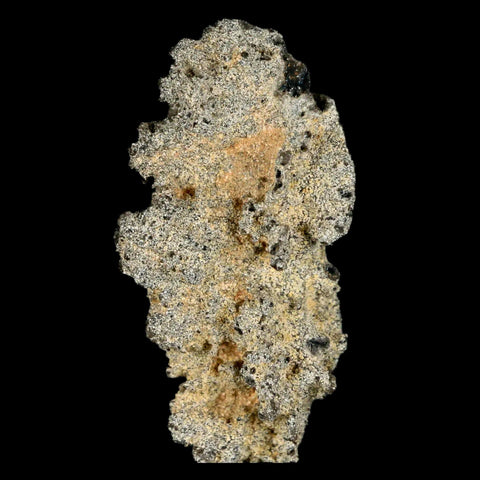 2.1" Fulgurite Petrified Lighting Strike Glass Sahara Desert Algeria - Fossil Age Minerals