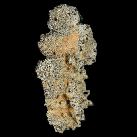 2.1" Fulgurite Petrified Lighting Strike Glass Sahara Desert Algeria - Fossil Age Minerals