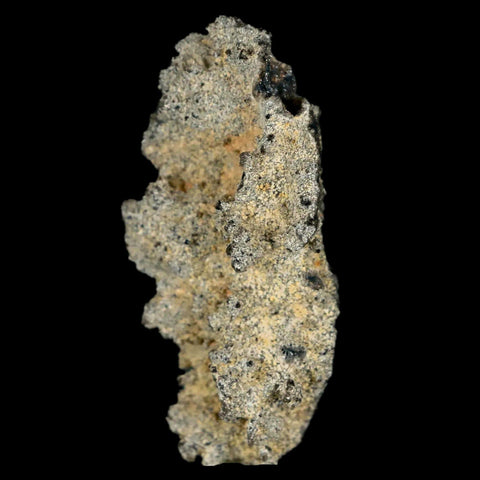 2.1" Fulgurite Petrified Lighting Strike Glass Sahara Desert Algeria - Fossil Age Minerals