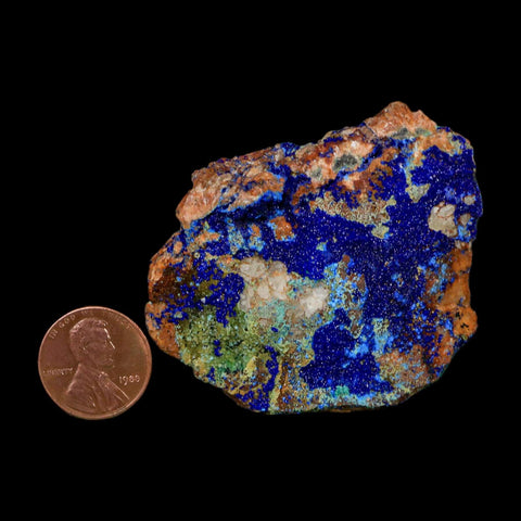 2.3" Azurite Crystals & Malachite On Matrix Colorful Mineral Specimen Morocco - Fossil Age Minerals