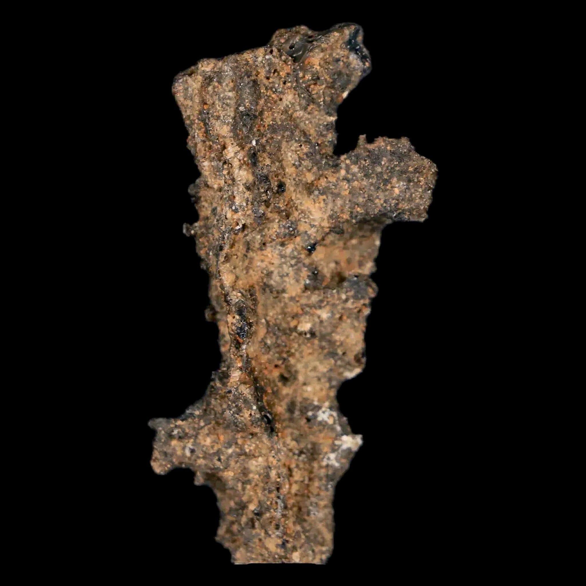 1.7" Fulgurite Petrified Lightning Strike Glass Sahara Desert Algeria - Fossil Age Minerals