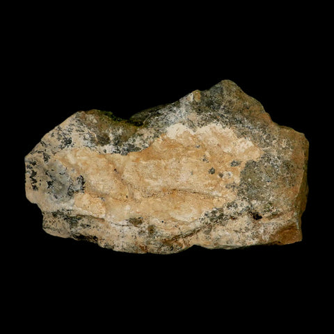 5.6" Rough Deep Green Epidote Crystal Minerals Specimen On Rock Morocco - Fossil Age Minerals