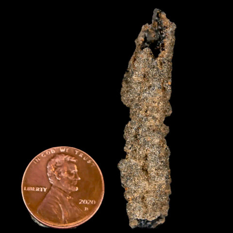 2" Fulgurite Petrified Lighting Strike Glass Sahara Desert Algeria - Fossil Age Minerals