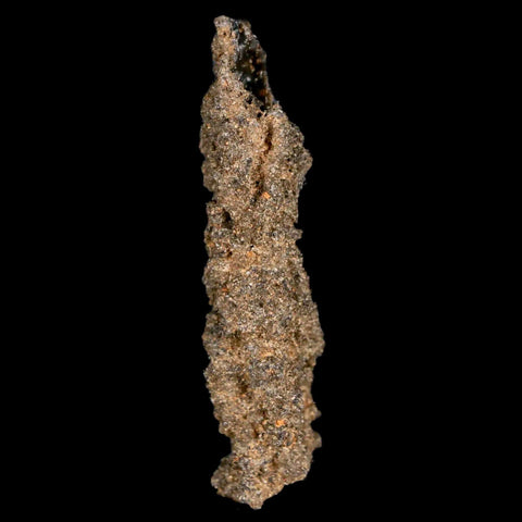 2" Fulgurite Petrified Lighting Strike Glass Sahara Desert Algeria - Fossil Age Minerals