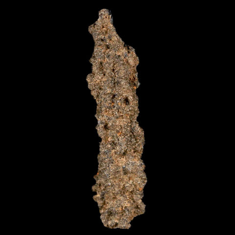 2" Fulgurite Petrified Lighting Strike Glass Sahara Desert Algeria - Fossil Age Minerals