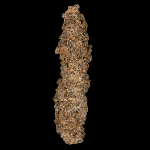 2" Fulgurite Petrified Lighting Strike Glass Sahara Desert Algeria - Fossil Age Minerals