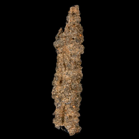2" Fulgurite Petrified Lighting Strike Glass Sahara Desert Algeria - Fossil Age Minerals