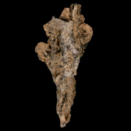 2" Fulgurite Petrified Lighting Strike Glass Sahara Desert Algeria
