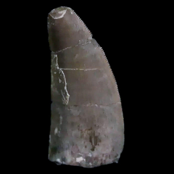 0.5