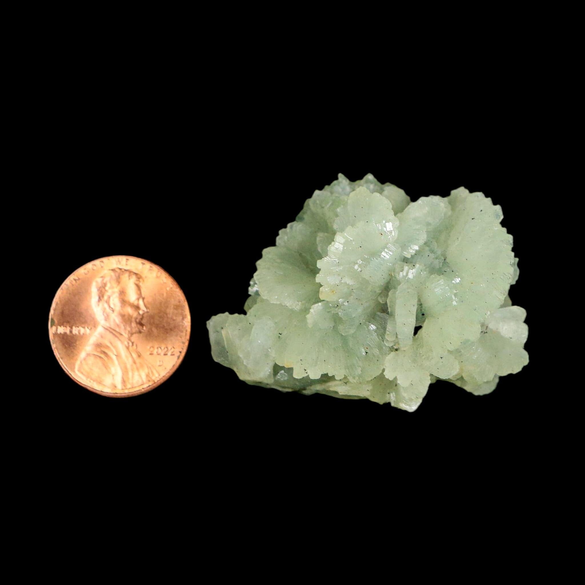 1.6" Rough Green Prehnite Crystal Mineral Specimen Location Imilchil, Morocco