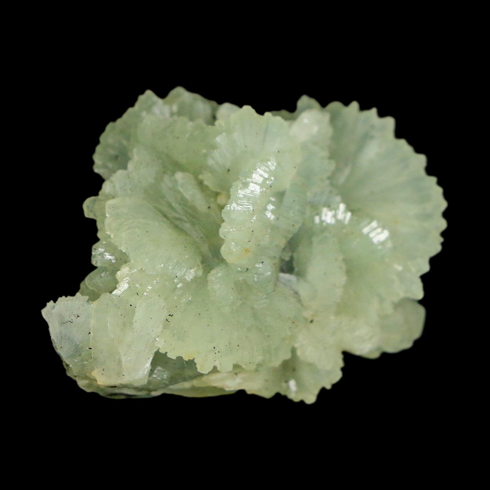 1.6" Rough Green Prehnite Crystal Mineral Specimen Location Imilchil, Morocco