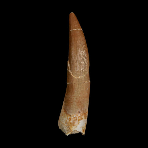 XL 2.4