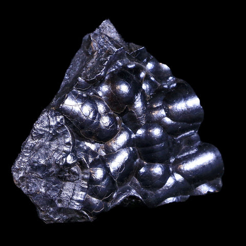 2.2" Hematite Botryoidal Kidney Ore Rock Mineral Specimen Irhoud Mine, Morocco - Fossil Age Minerals