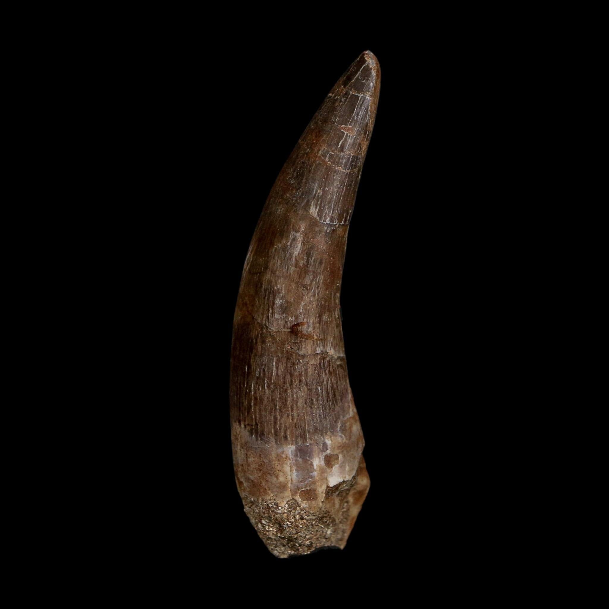 XL 2.3