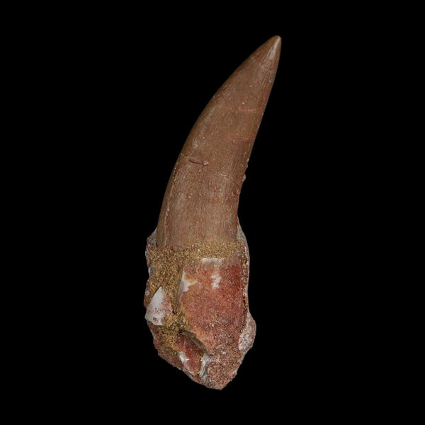 XL 2.3